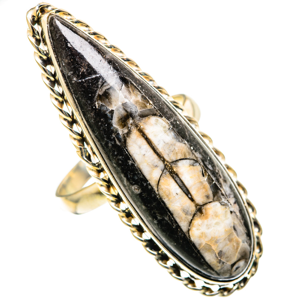Orthoceras Fossil Rings handcrafted by Anasilvercos - RING108889 - Photo 2