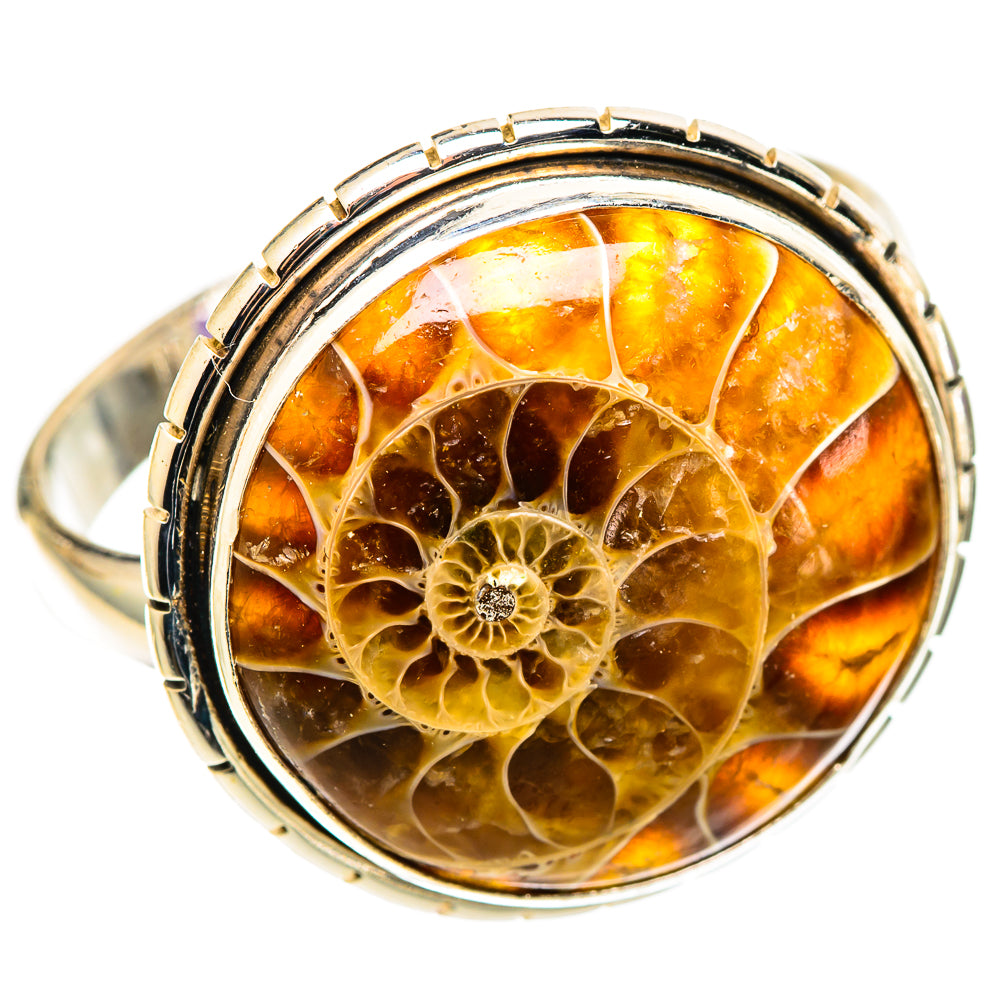 Ammonite Fossil Rings handcrafted by Anasilvercos - RING109194 - Photo 2