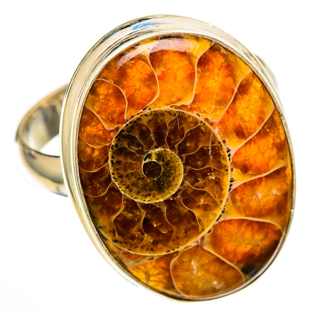 Ammonite Fossil Rings handcrafted by Anasilvercos - RING111142 - Photo 2