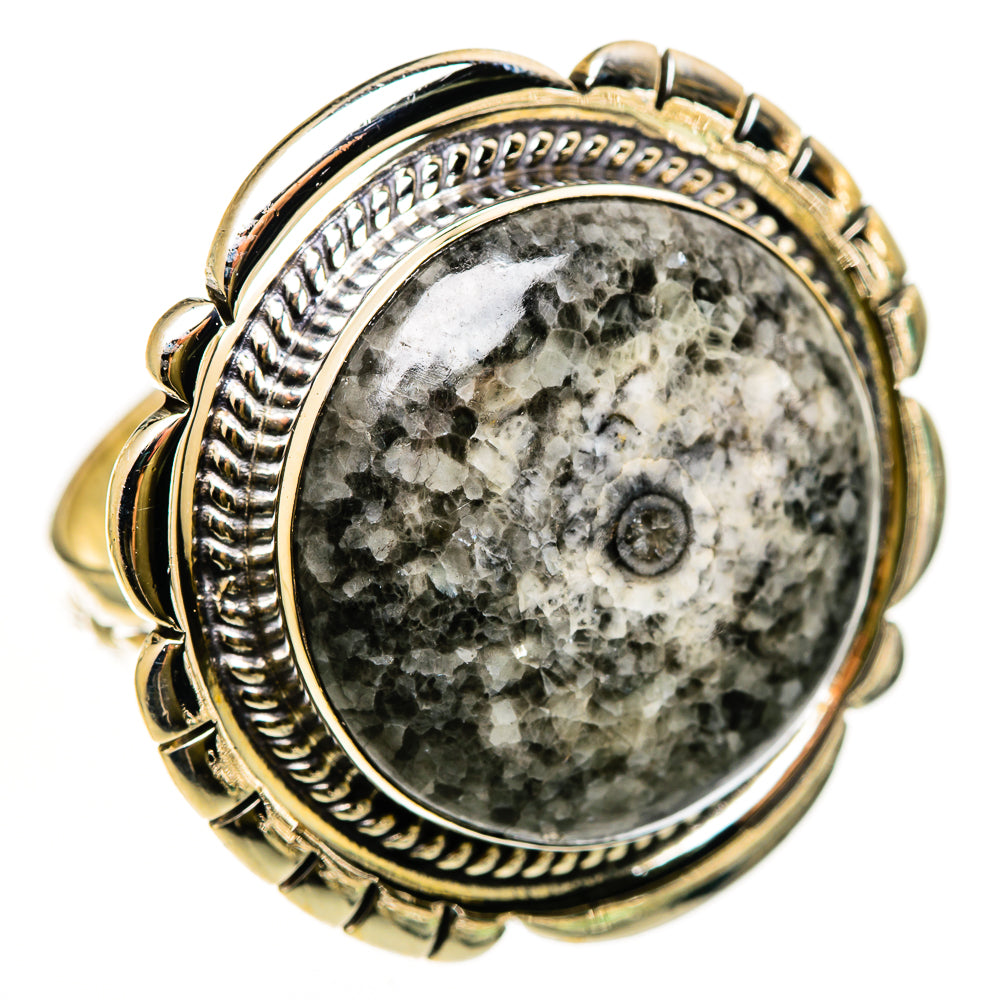 Moroccan Goniatite Fossil Rings handcrafted by Anasilvercos - RING112432 - Photo 2