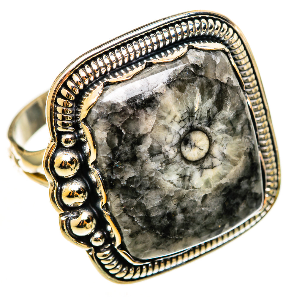 Moroccan Goniatite Fossil Rings handcrafted by Anasilvercos - RING112477 - Photo 2
