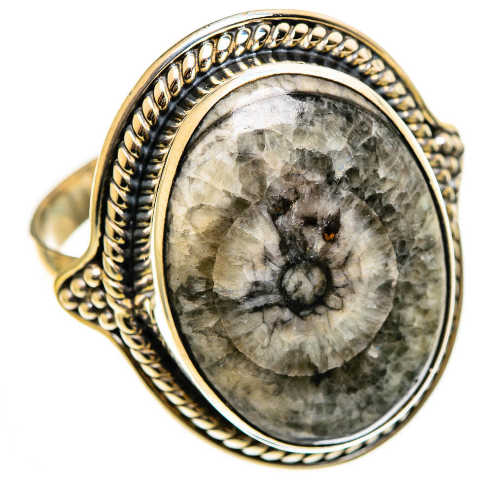 Moroccan Goniatite Fossil Rings handcrafted by Anasilvercos - RING112828 - Photo 2