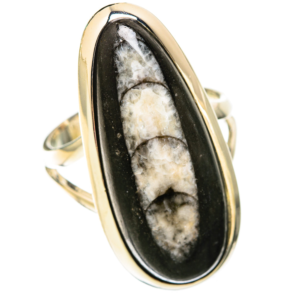 Orthoceras Fossil Rings handcrafted by Anasilvercos - RING119259 - Photo 2