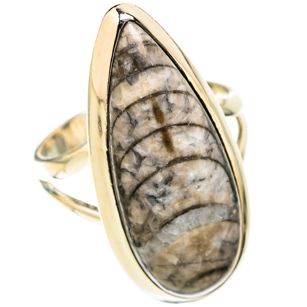 Orthoceras Fossil Rings handcrafted by Anasilvercos - RING119266 - Photo 2