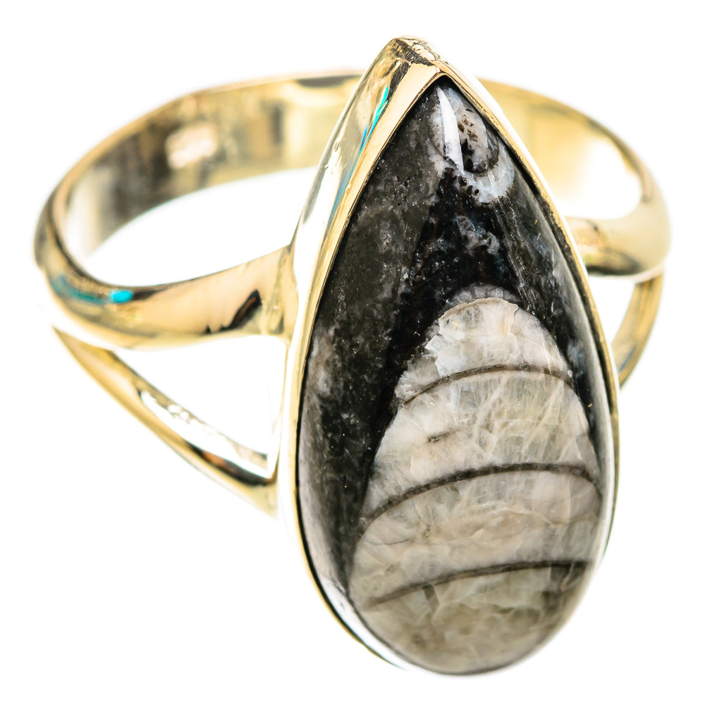 Orthoceras Fossil Rings handcrafted by Anasilvercos - RING119531 - Photo 2