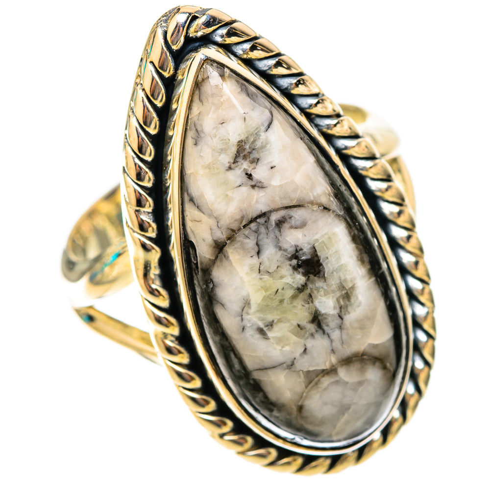 Orthoceras Fossil Rings handcrafted by Anasilvercos - RING119870 - Photo 2