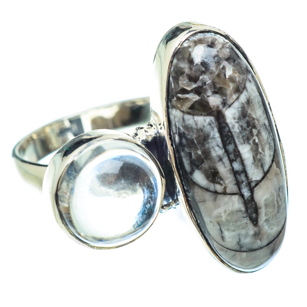Orthoceras Fossil Rings handcrafted by Anasilvercos - RING56264