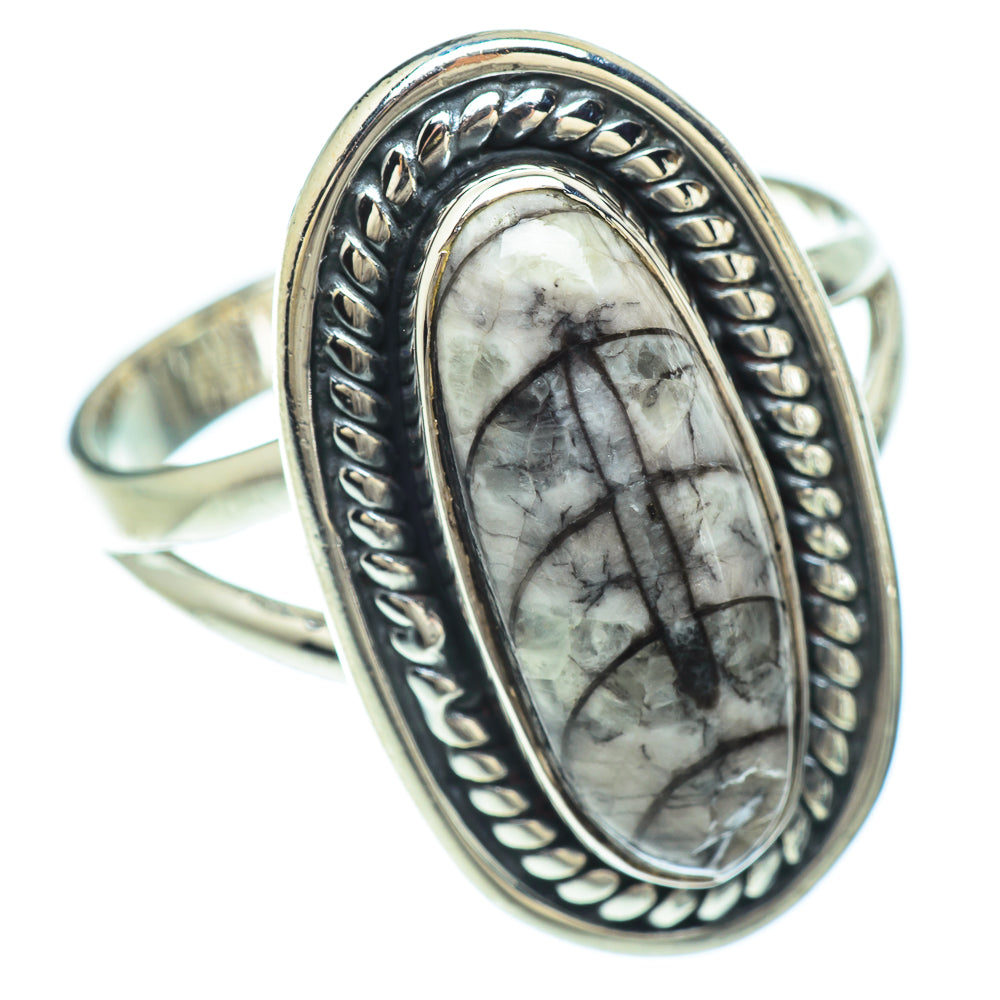 Orthoceras Fossil Rings handcrafted by Anasilvercos - RING56523