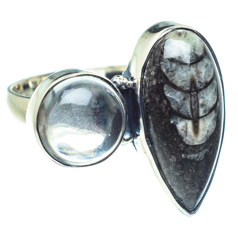 Orthoceras Fossil Rings handcrafted by Anasilvercos - RING58878