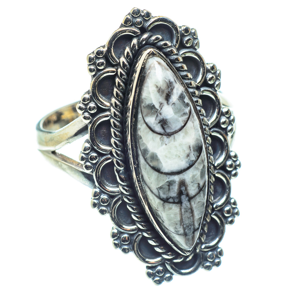 Orthoceras Fossil Rings handcrafted by Anasilvercos - RING59379
