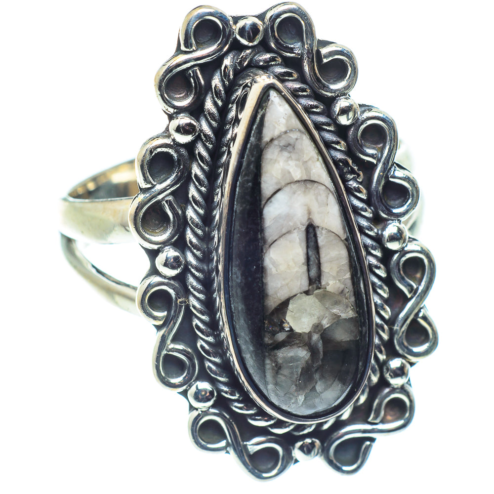 Orthoceras Fossil Rings handcrafted by Anasilvercos - RING59639