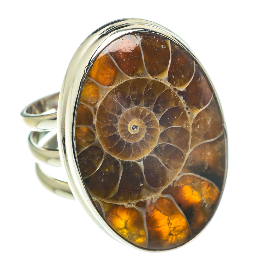 Ammonite Fossil Rings handcrafted by Anasilvercos - RING60102