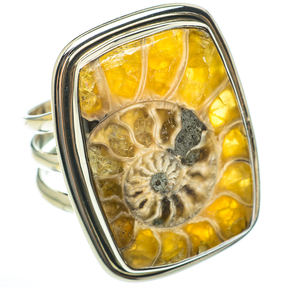 Ammonite Fossil Rings handcrafted by Anasilvercos - RING60720