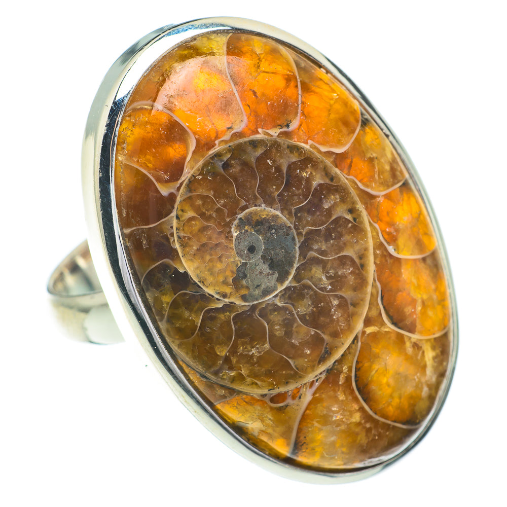 Ammonite Fossil Rings handcrafted by Anasilvercos - RING60995