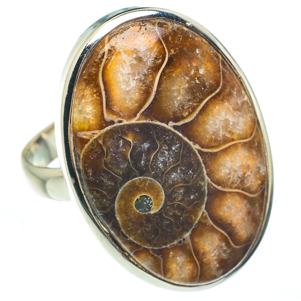 Ammonite Fossil Rings handcrafted by Anasilvercos - RING61852