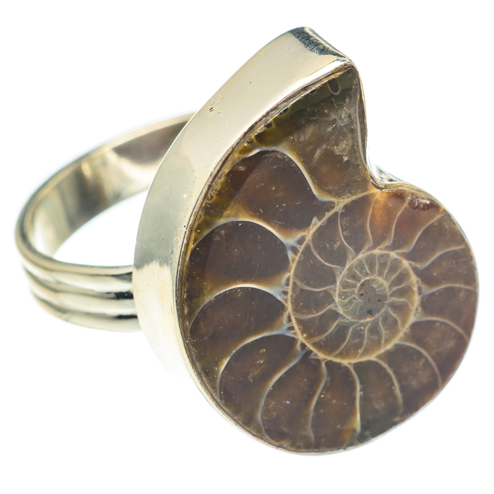 Ammonite Fossil Rings handcrafted by Anasilvercos - RING66924