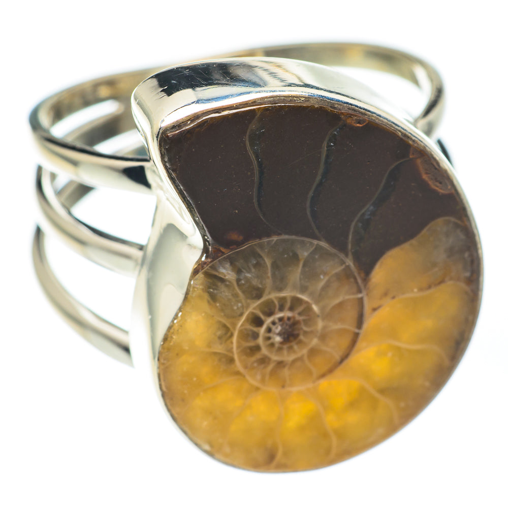 Ammonite Fossil Rings handcrafted by Anasilvercos - RING67202