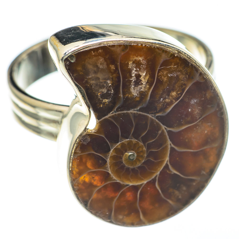Ammonite Fossil Rings handcrafted by Anasilvercos - RING68185