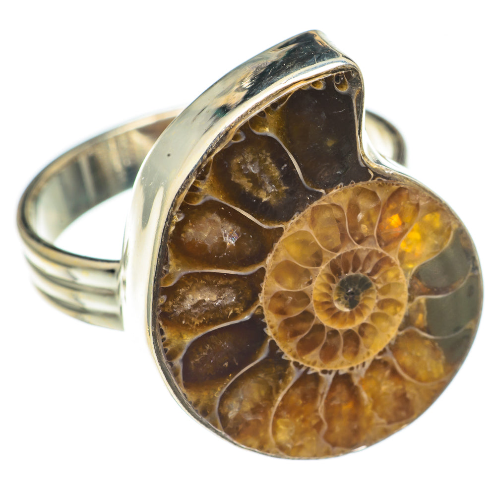 Ammonite Fossil Rings handcrafted by Anasilvercos - RING68599