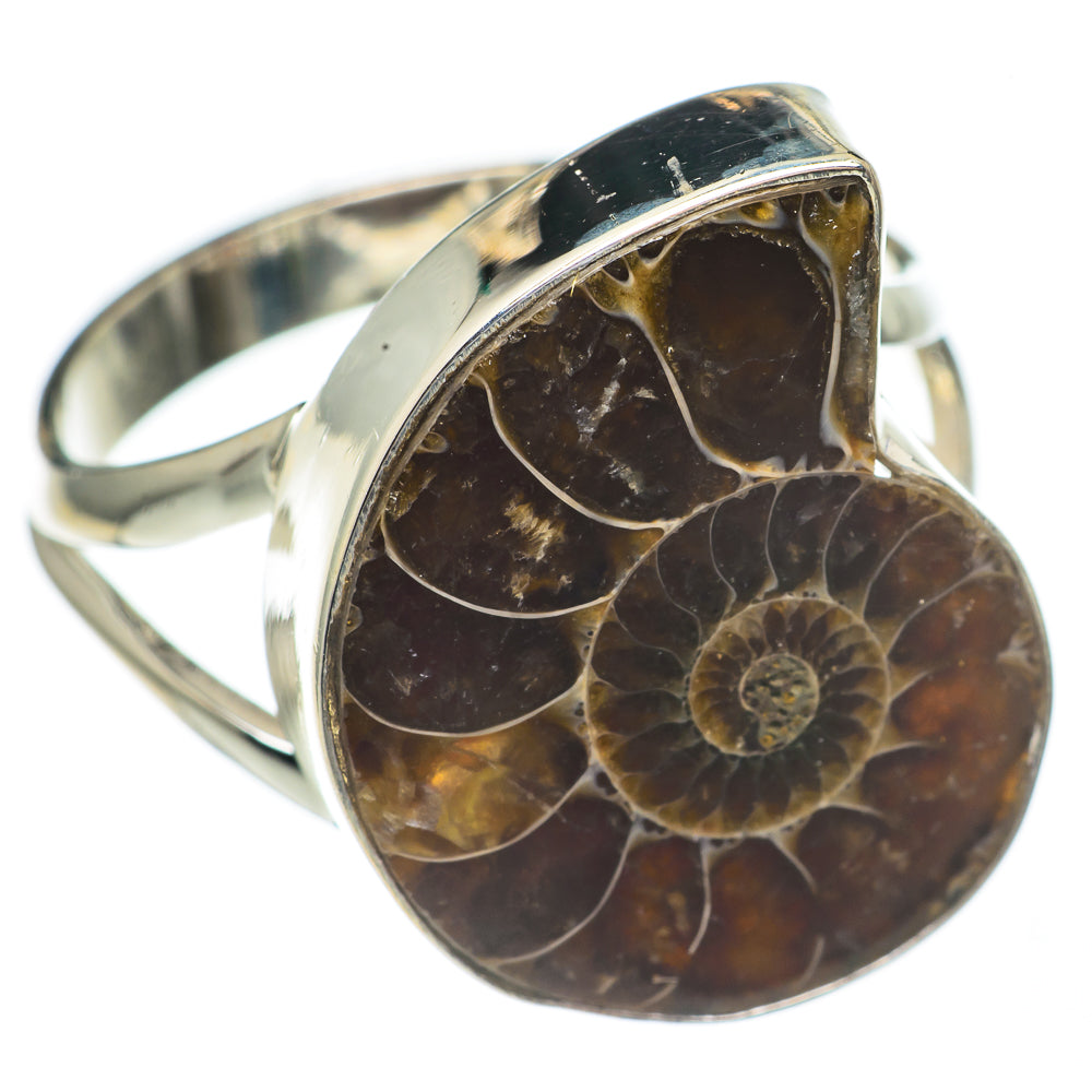 Ammonite Fossil Rings handcrafted by Anasilvercos - RING68717