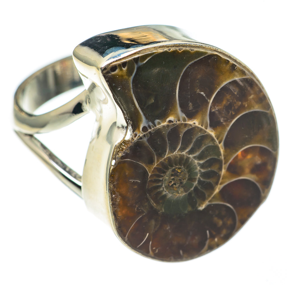 Ammonite Fossil Rings handcrafted by Anasilvercos - RING68786