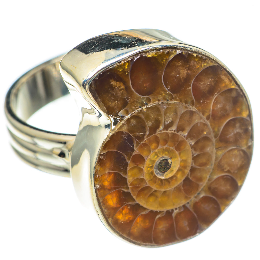 Ammonite Fossil Rings handcrafted by Anasilvercos - RING69070