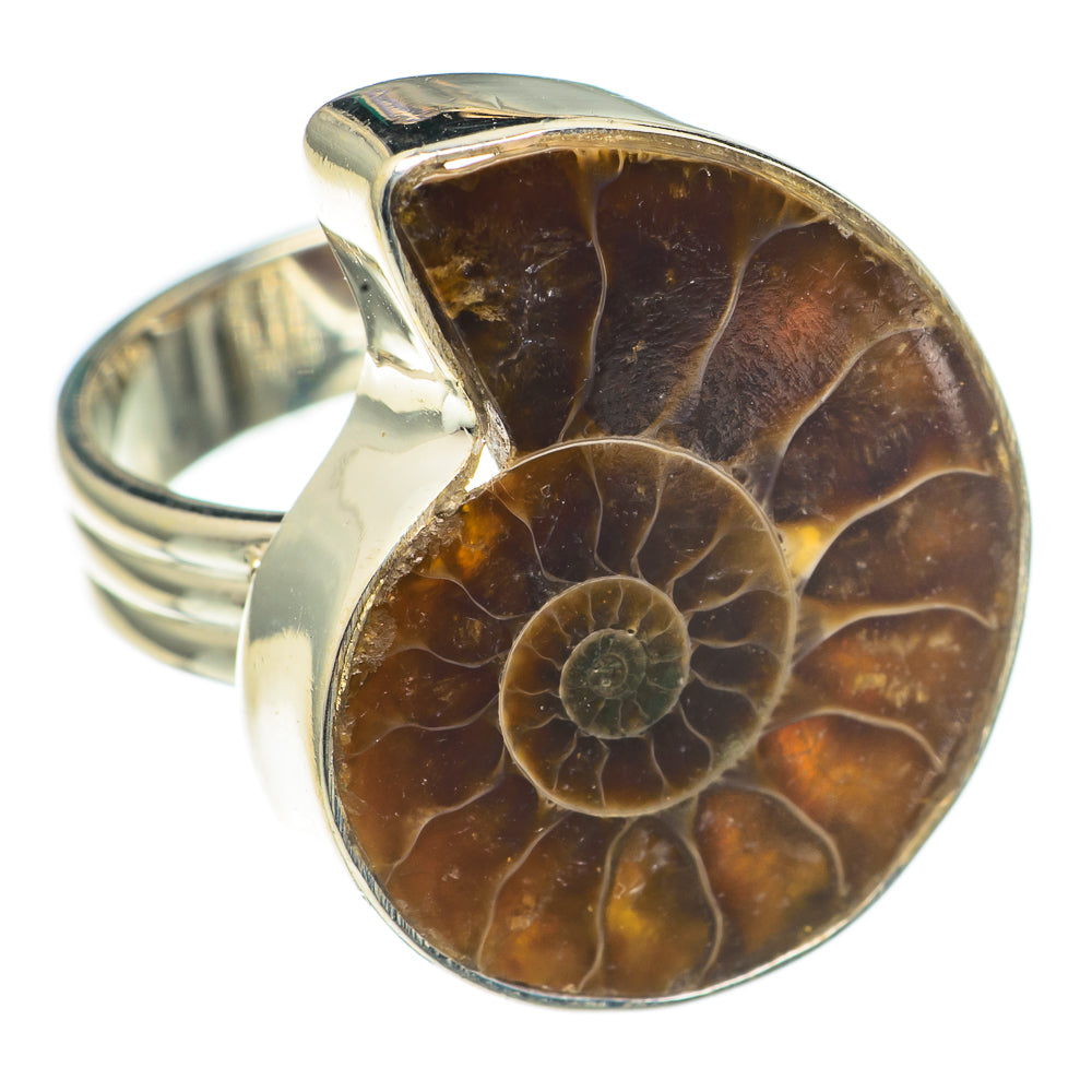 Ammonite Fossil Rings handcrafted by Anasilvercos - RING69239