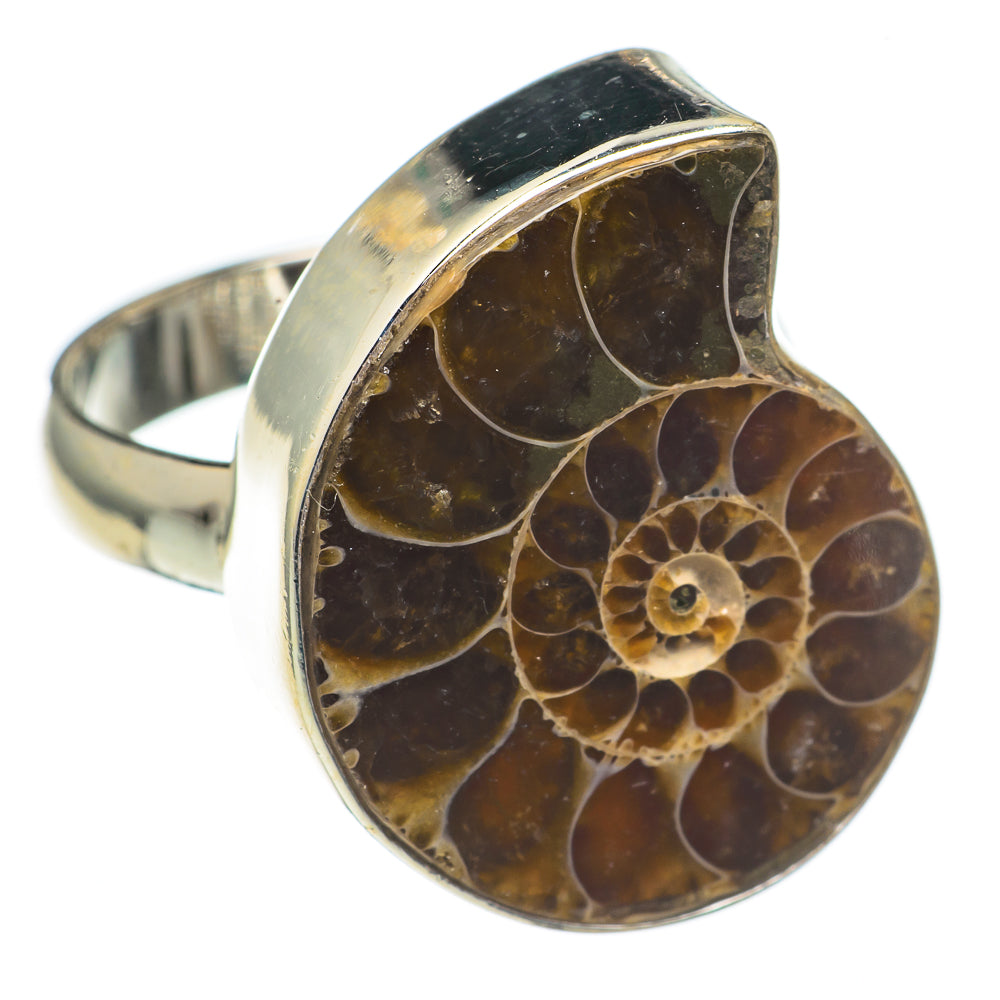 Ammonite Fossil Rings handcrafted by Anasilvercos - RING69307