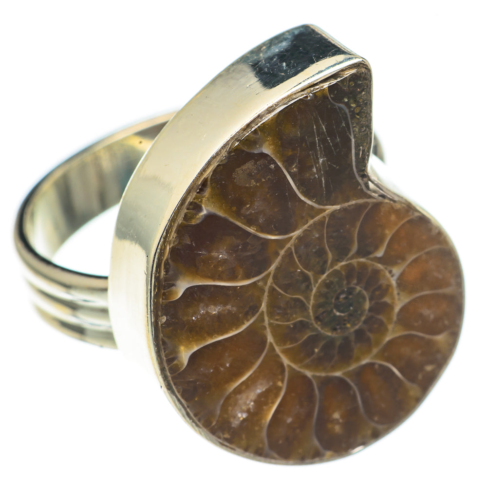 Ammonite Fossil Rings handcrafted by Anasilvercos - RING69348