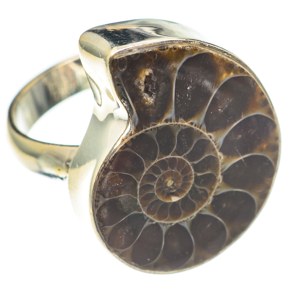 Ammonite Fossil Rings handcrafted by Anasilvercos - RING70129