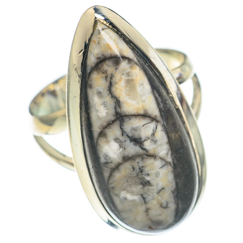 Orthoceras Fossil Rings handcrafted by Anasilvercos - RING70179