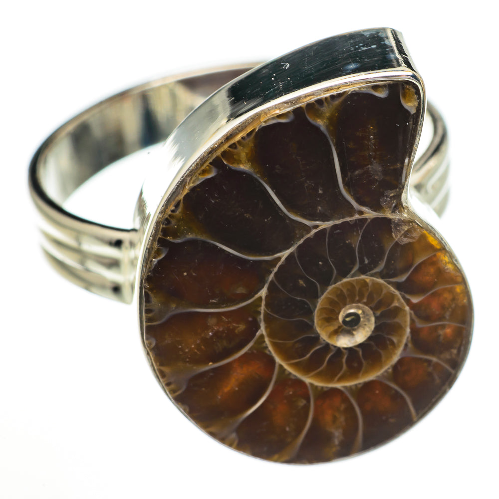 Ammonite Fossil Rings handcrafted by Anasilvercos - RING70276