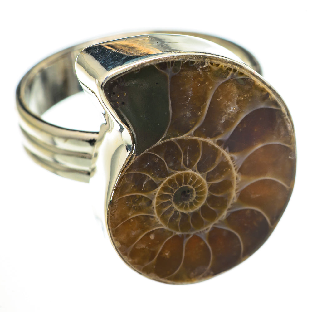 Ammonite Fossil Rings handcrafted by Anasilvercos - RING70581
