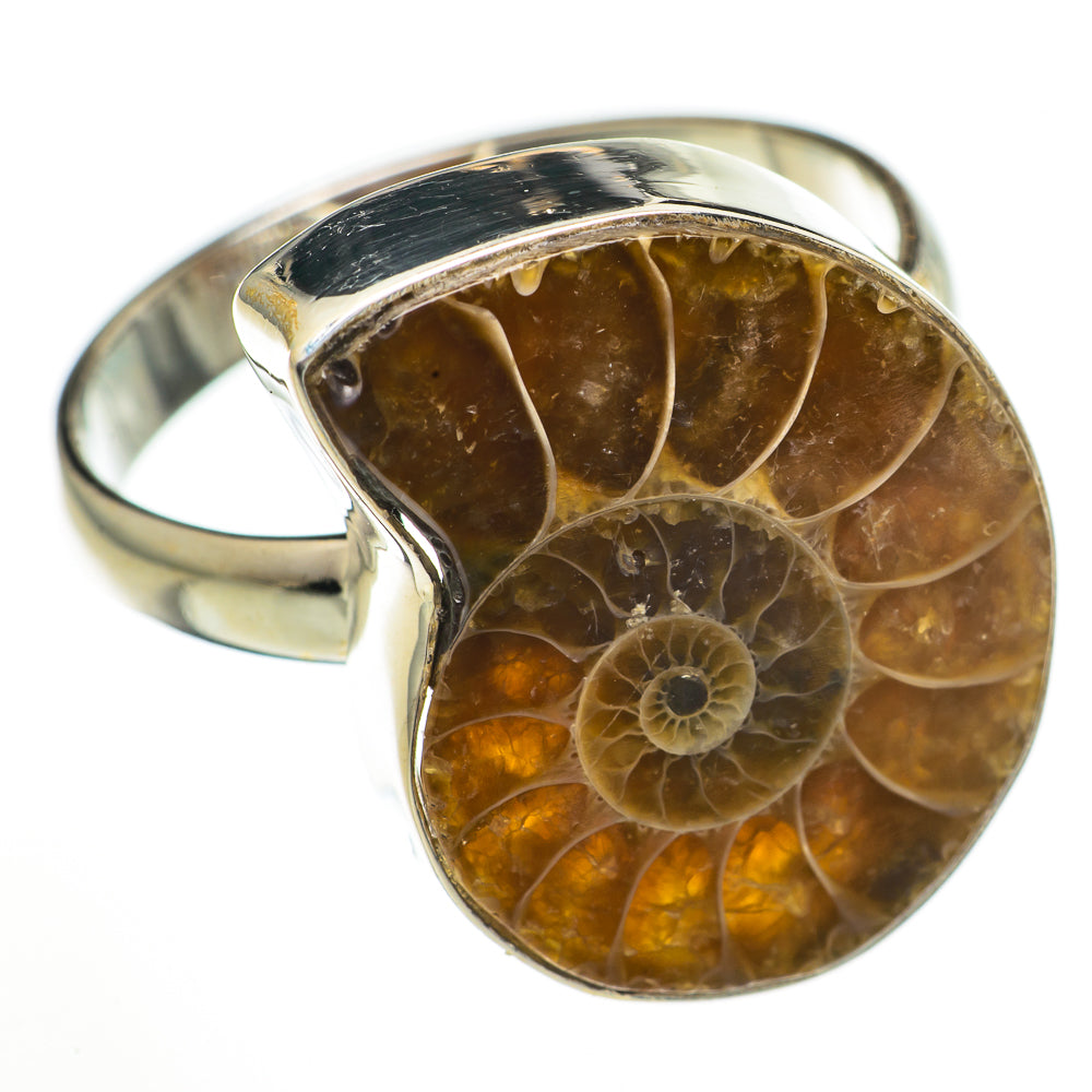Ammonite Fossil Rings handcrafted by Anasilvercos - RING70663