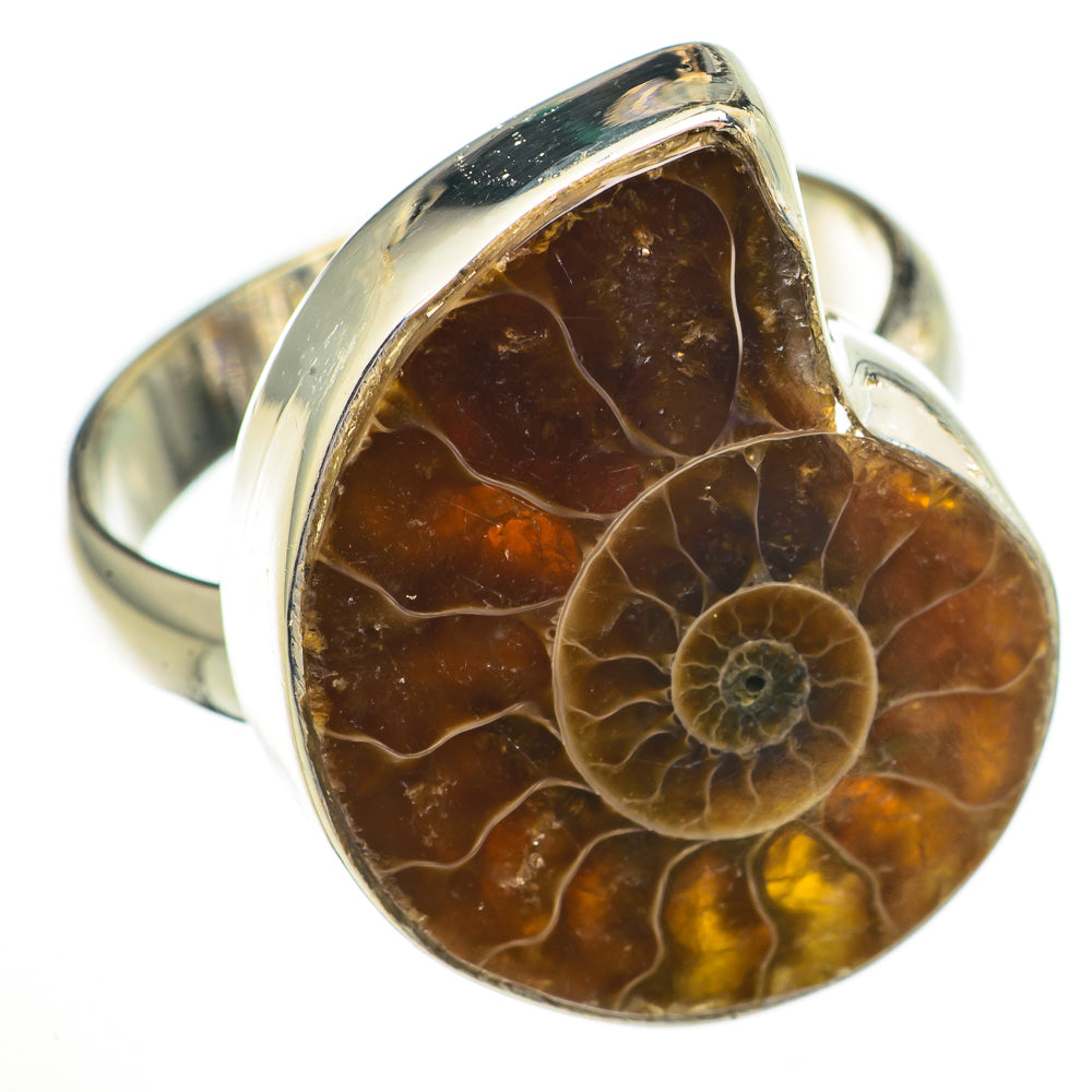 Ammonite Fossil Rings handcrafted by Anasilvercos - RING70809