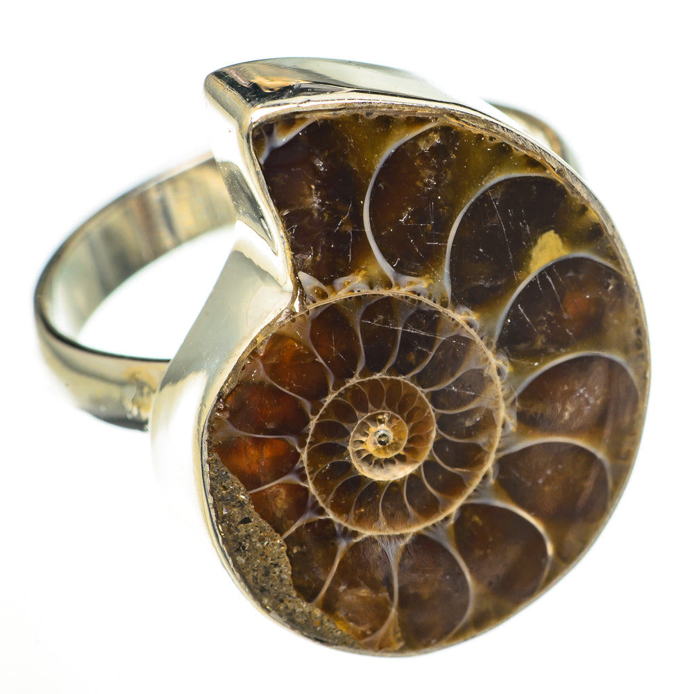 Ammonite Fossil Rings handcrafted by Anasilvercos - RING70869
