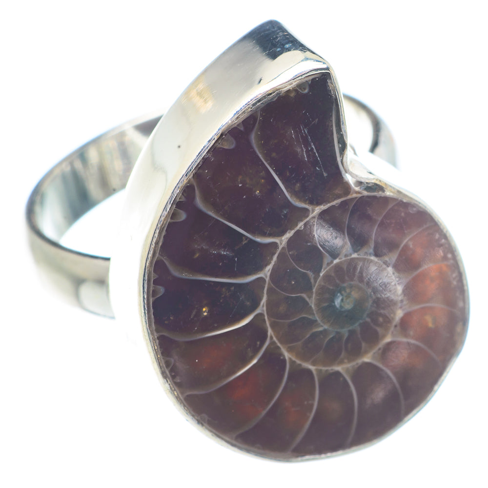 Ammonite Fossil Rings handcrafted by Anasilvercos - RING71239