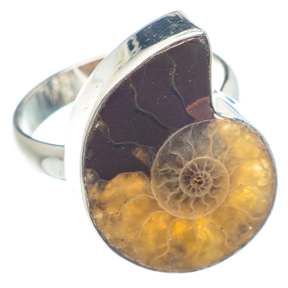 Ammonite Fossil Rings handcrafted by Anasilvercos - RING71276