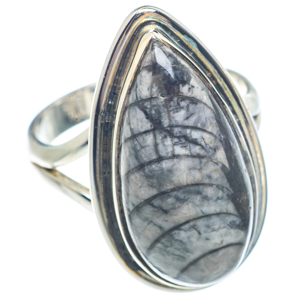 Orthoceras Fossil Rings handcrafted by Anasilvercos - RING71679