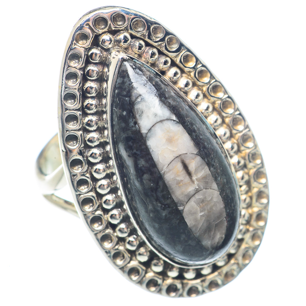 Orthoceras Fossil Rings handcrafted by Anasilvercos - RING71794