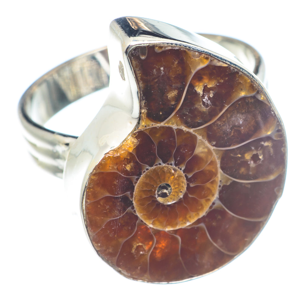 Ammonite Fossil Rings handcrafted by Anasilvercos - RING72005