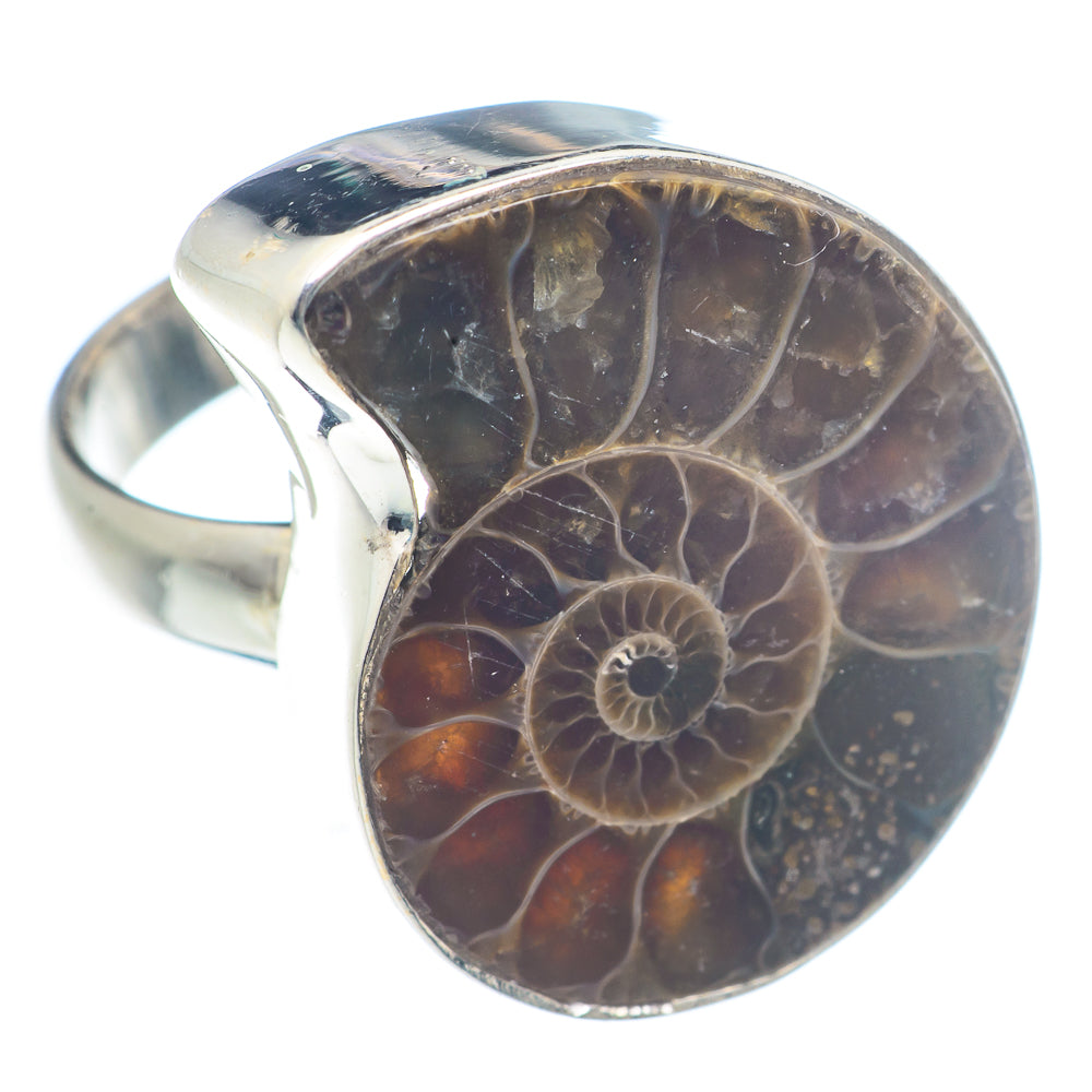 Ammmonite Fossil Rings handcrafted by Anasilvercos - RING72042