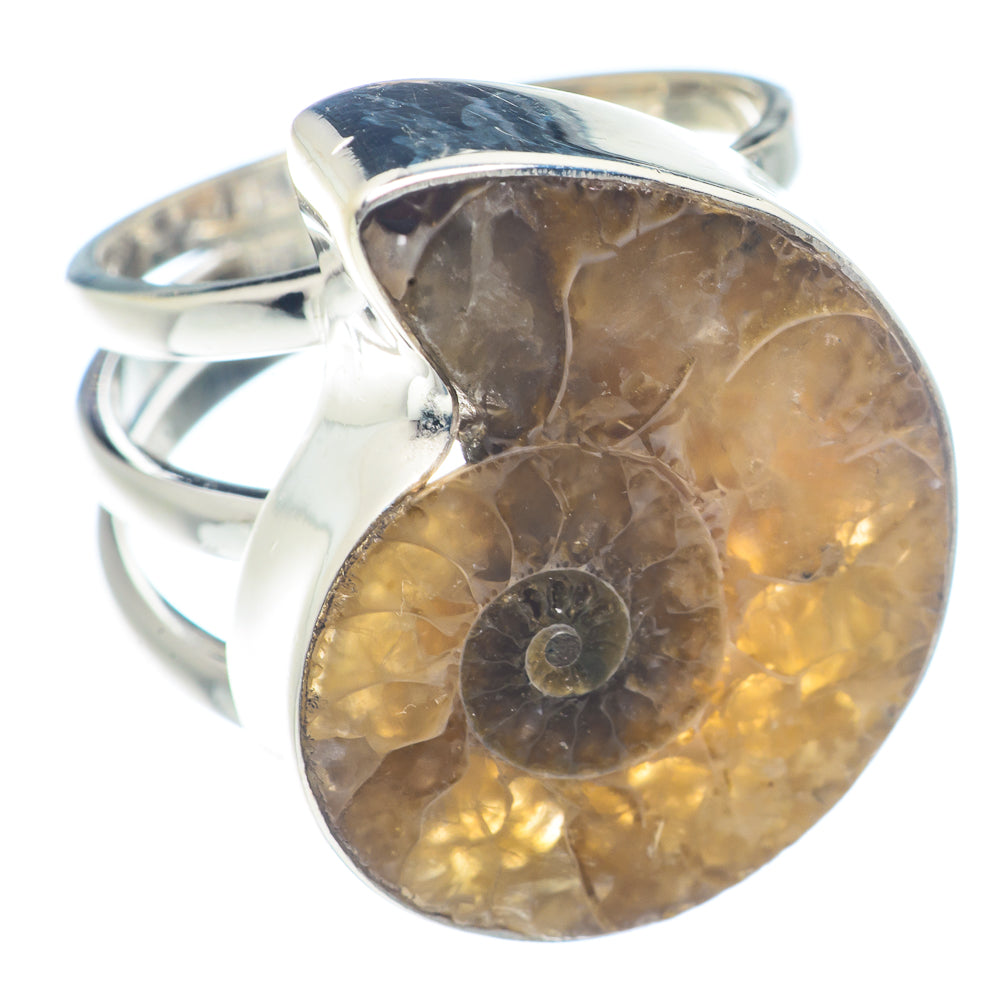 Ammonite Fossil Rings handcrafted by Anasilvercos - RING72148