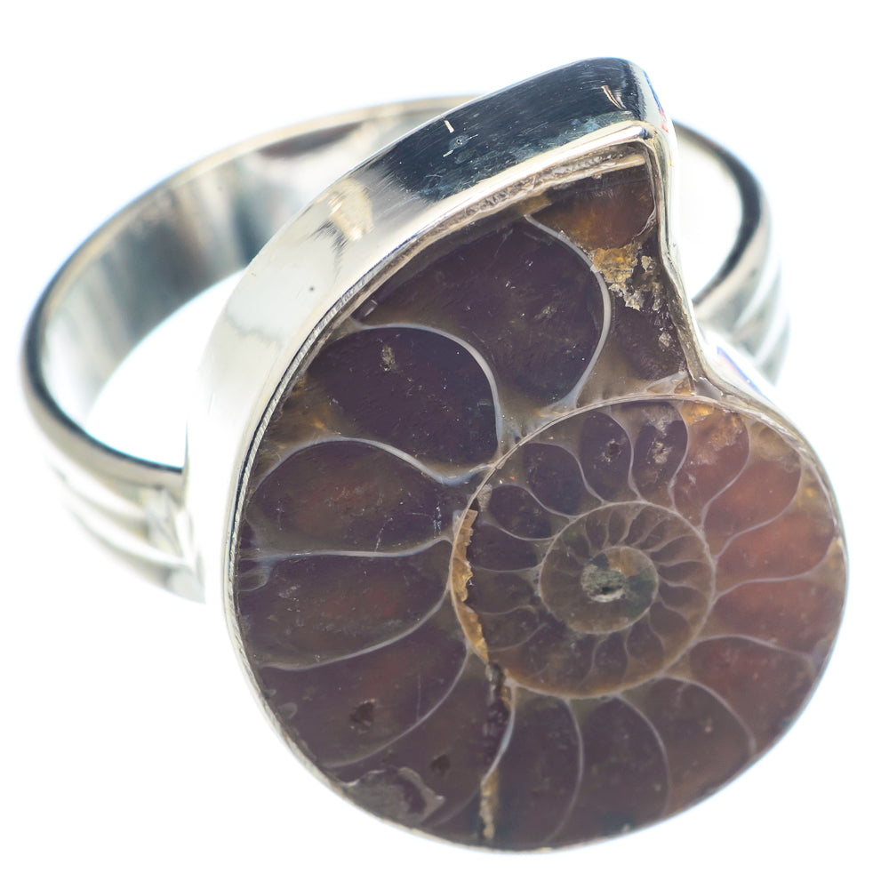 Ammonite Fossil Rings handcrafted by Anasilvercos - RING72235
