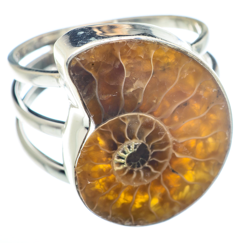 Ammonite Fossil Rings handcrafted by Anasilvercos - RING72425