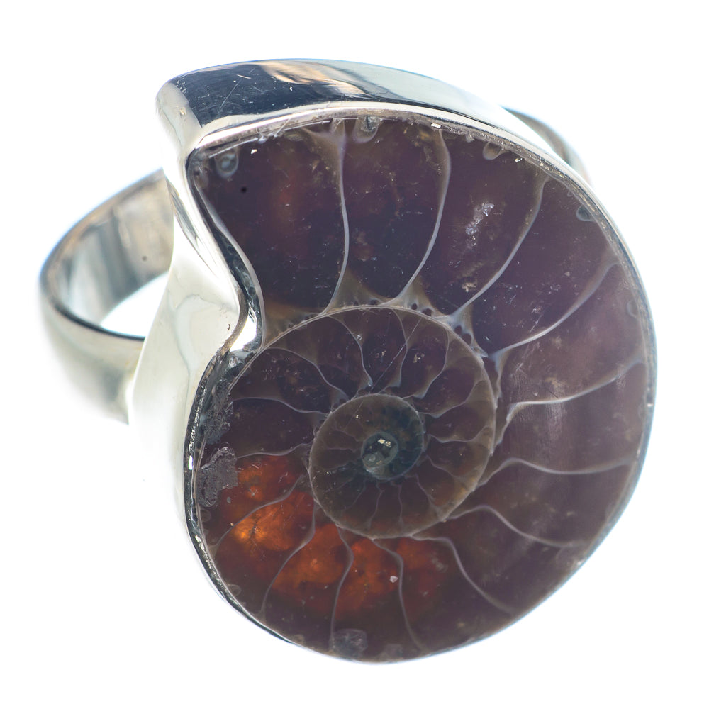 Ammonite Fossil Rings handcrafted by Anasilvercos - RING72478
