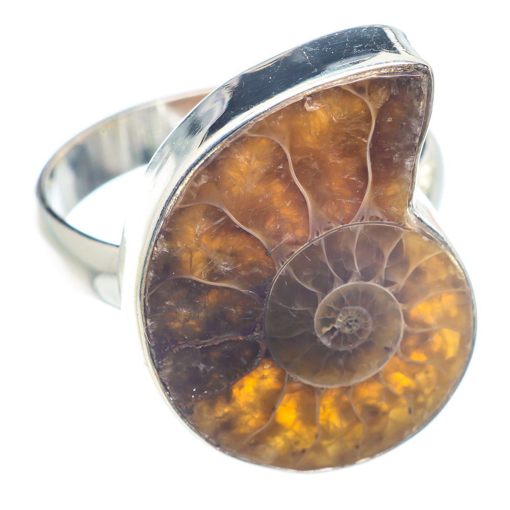 Ammonite Fossil Rings handcrafted by Anasilvercos - RING72608