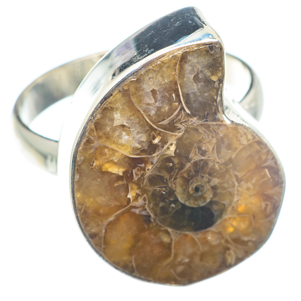 Ammonite Fossil Rings handcrafted by Anasilvercos - RING72646