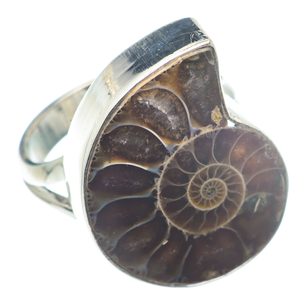 Ammonite Fossil Rings handcrafted by Anasilvercos - RING72684