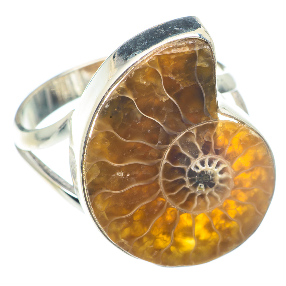 Ammonite Fossil Rings handcrafted by Anasilvercos - RING72726